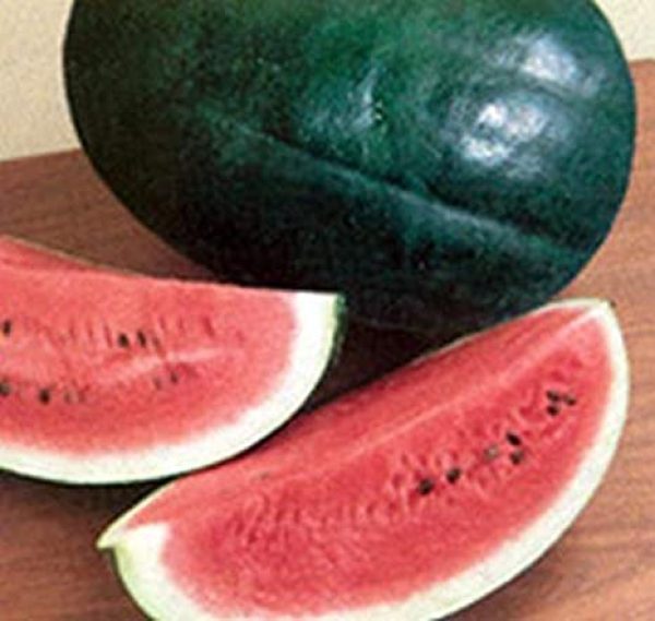 Black Diamond Watermelon Seeds