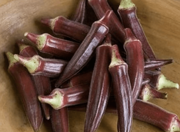 Red Burgundy Okra