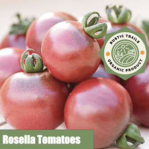 Rosella Tomatoes