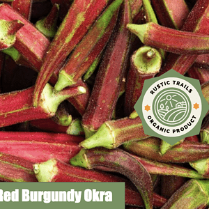 Red Burgandy Okra