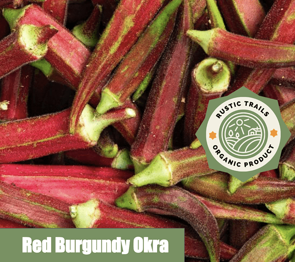 Red Burgandy Okra