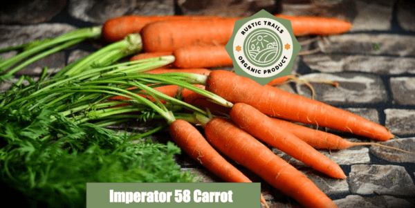 Imperator Carrots