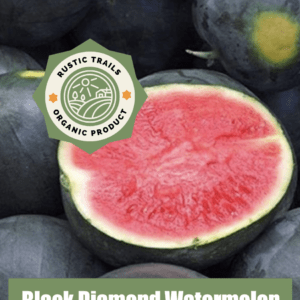 Black Diamond Watermelon