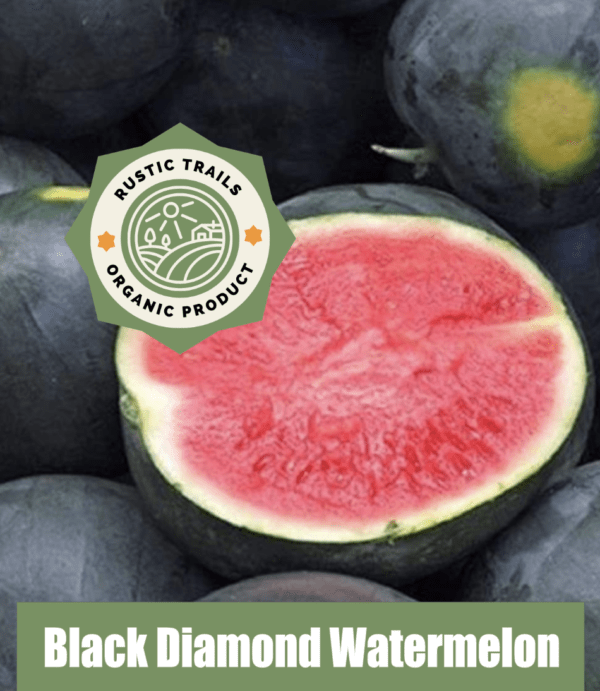 Black Diamond Watermelon