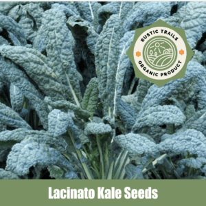 Lacinato, Organic Kale