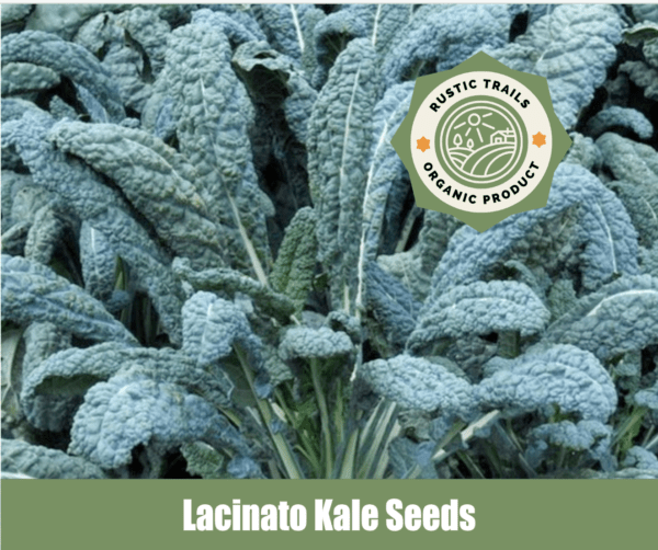 Lacinato, Organic Kale