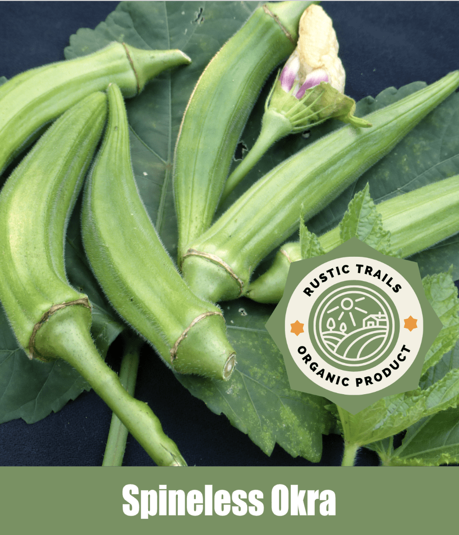 Clemson Spineless 80, Organic Okra