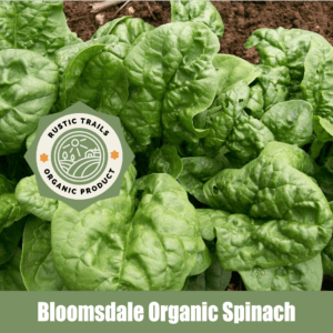 Bloomsdale Organic Spinach