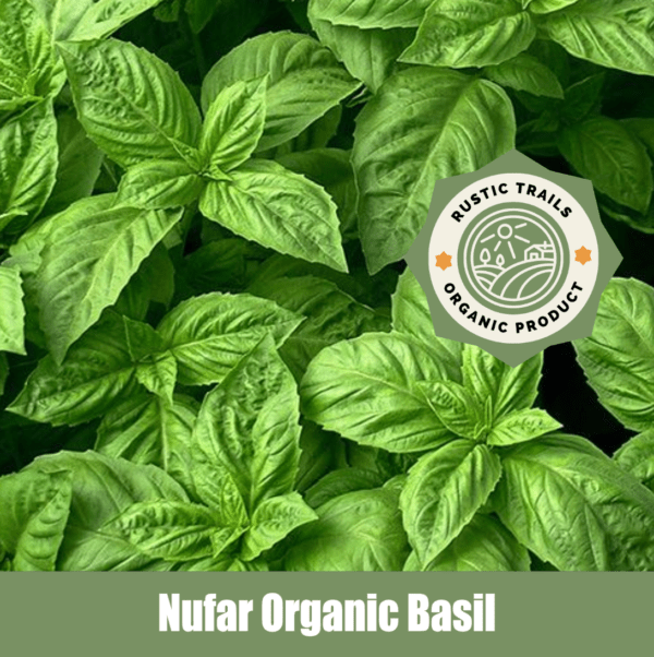 Nufar Organic Basil