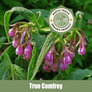 True Comfrey