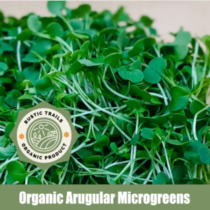 Non-GMO Organic Arugula Microgreens