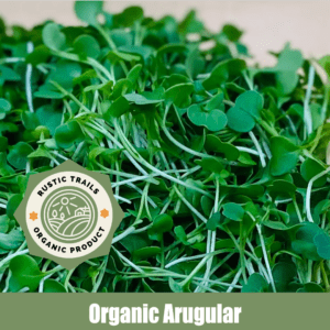 Non-GMO Organic Arugula