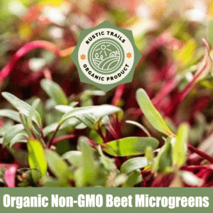 Organic Non-GMO Beet Microgreens