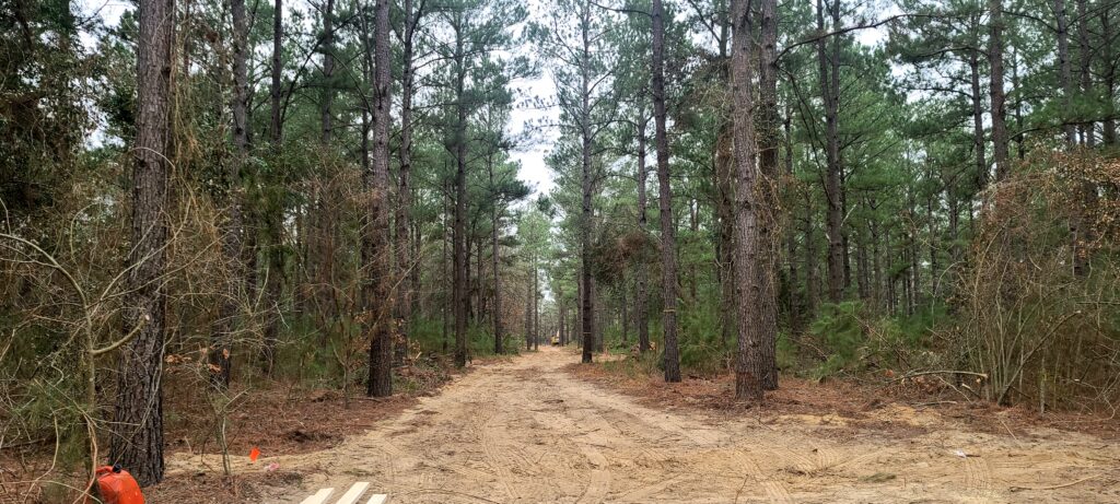 The road to the front of Rustic Trails