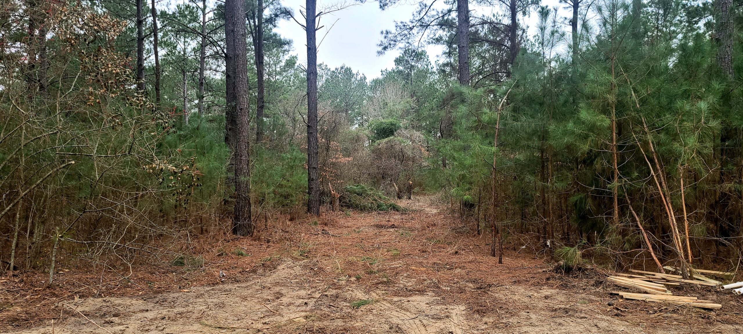 Foraging - Rustic Trails Texas LLC