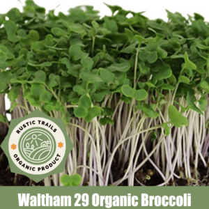 Waltham 29 Organic Broccoli