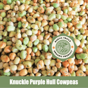 Knuckle Purple Hull Cowpeas