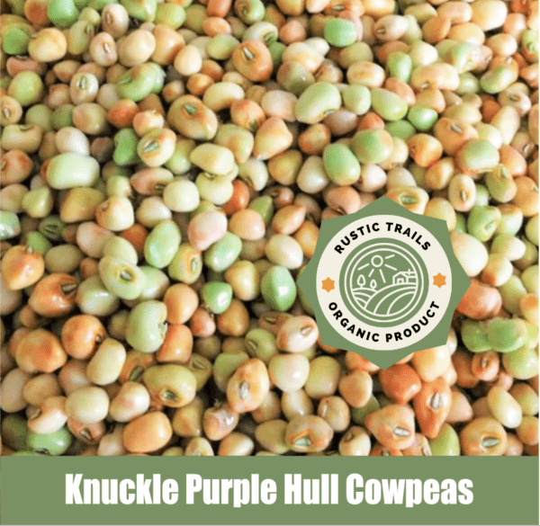 Knuckle Purple Hull Cowpeas