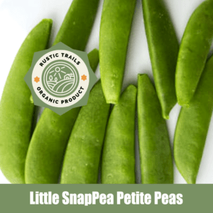 Little SnapPea Petite Peas