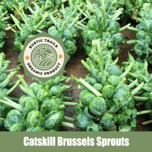 Catskill Brussels Sprouts