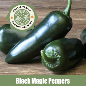 Black Magic Peppers