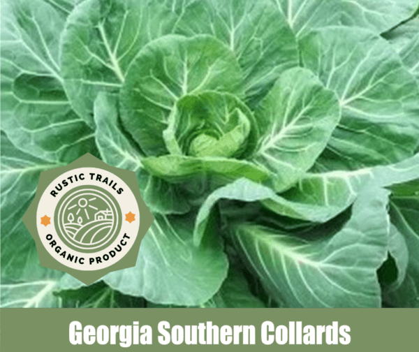 Georgia Southern Collards