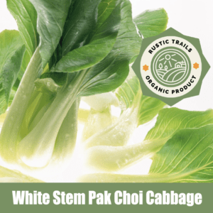 White Stem Pak Choi Cabbage