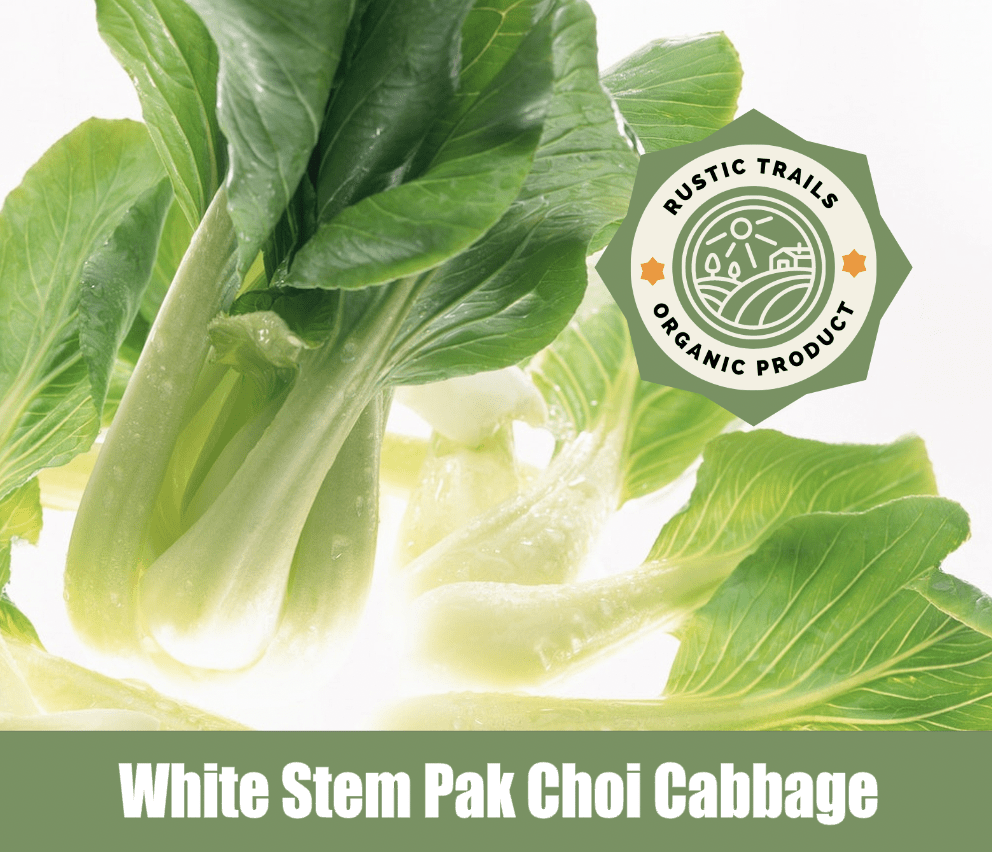 White Stem Pak Choi Cabbage