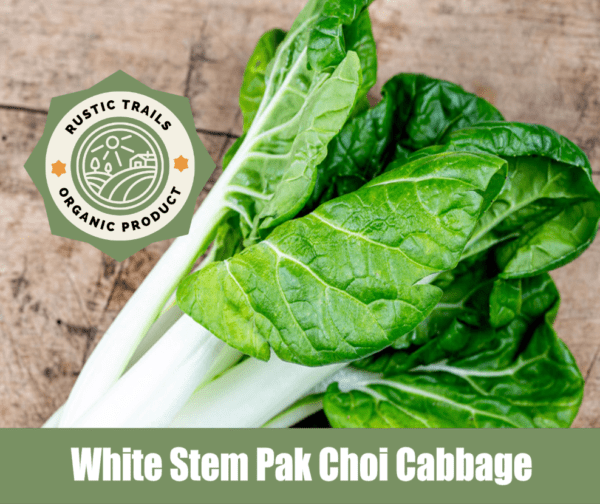 White Stem Pak Choi Cabbage