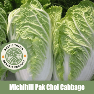 Michihili Pak Choi Cabbage