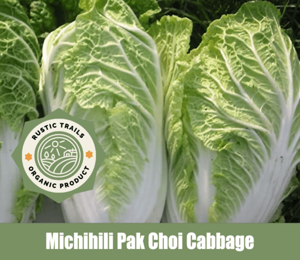 Michihili Pak Choi Cabbage