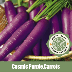 Cosmic Purple Carrots