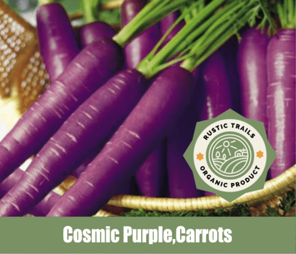 Cosmic Purple Carrots