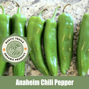 Anaheim Chili Pepper