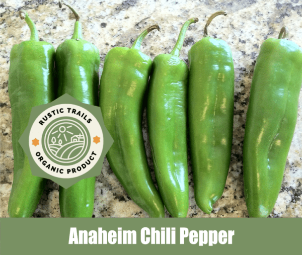 Anaheim Chili Pepper