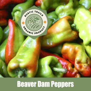 Beaver Dam Peppers