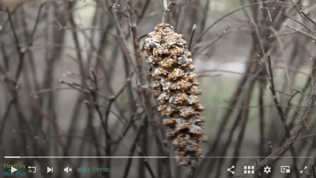 PIne Cone Bird Feeder