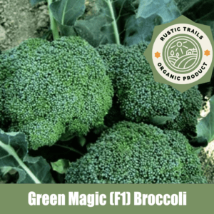 broccoli