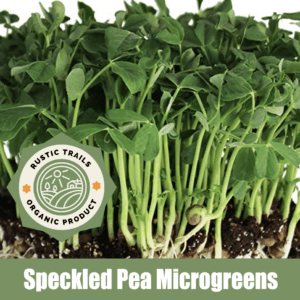 Speckled Pea Microgreens and Sprouts