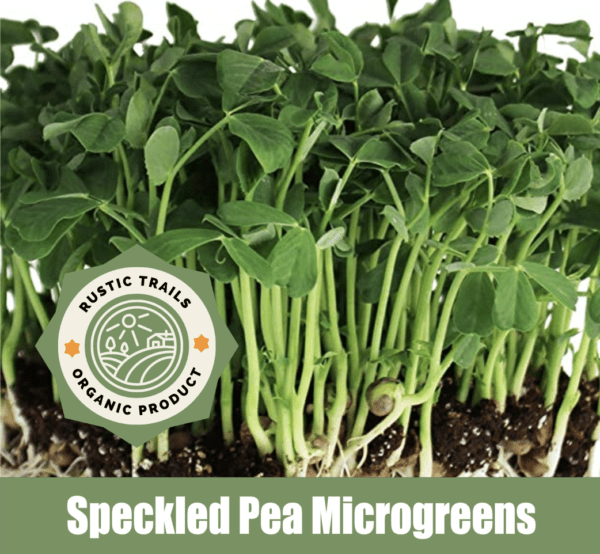 Speckled Pea Microgreens and Sprouts