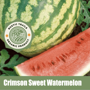 Crimson Sweet Watermelon