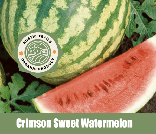 Crimson Sweet Watermelon