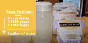 Yeast Fertilizer, an Organic Plant Grower!