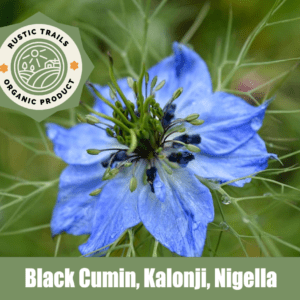 Nigella, also known as Black Cumin or Kalonji,