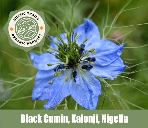 Nigella, also known as Black Cumin or Kalonji,