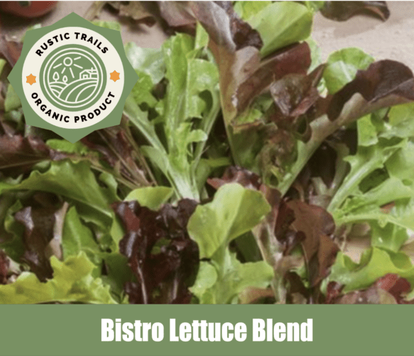 Bistro Lettuce Blend