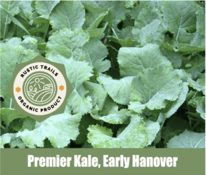 Premier Kale (Early Hanover)