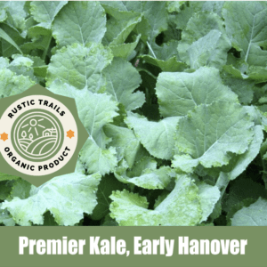 Premier Kale (Early Hanover)