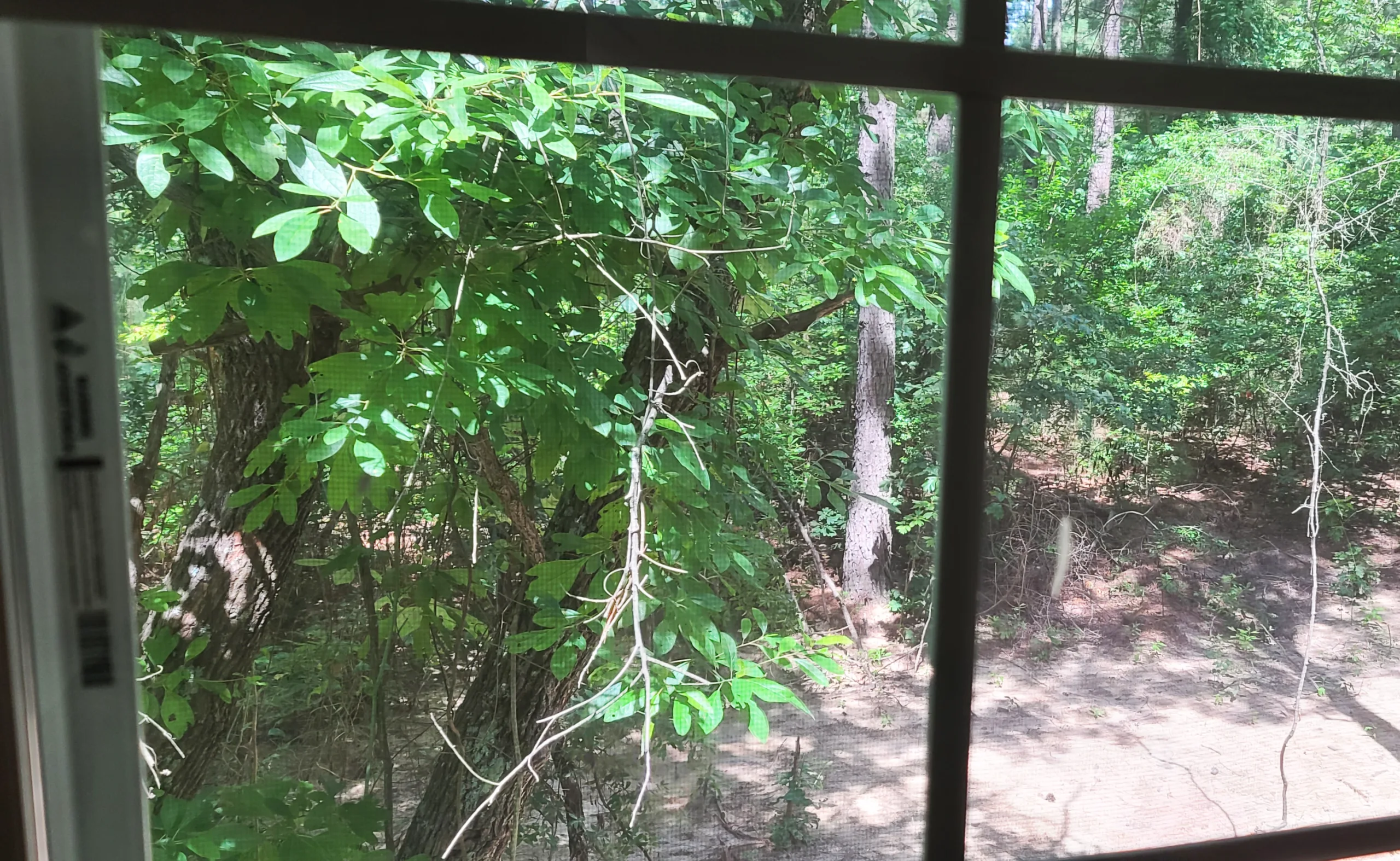 Rustic Trails LLC ,Wedding Venue, Vacation Rental, Air BnB, The Church, East Texas, Piney Woods