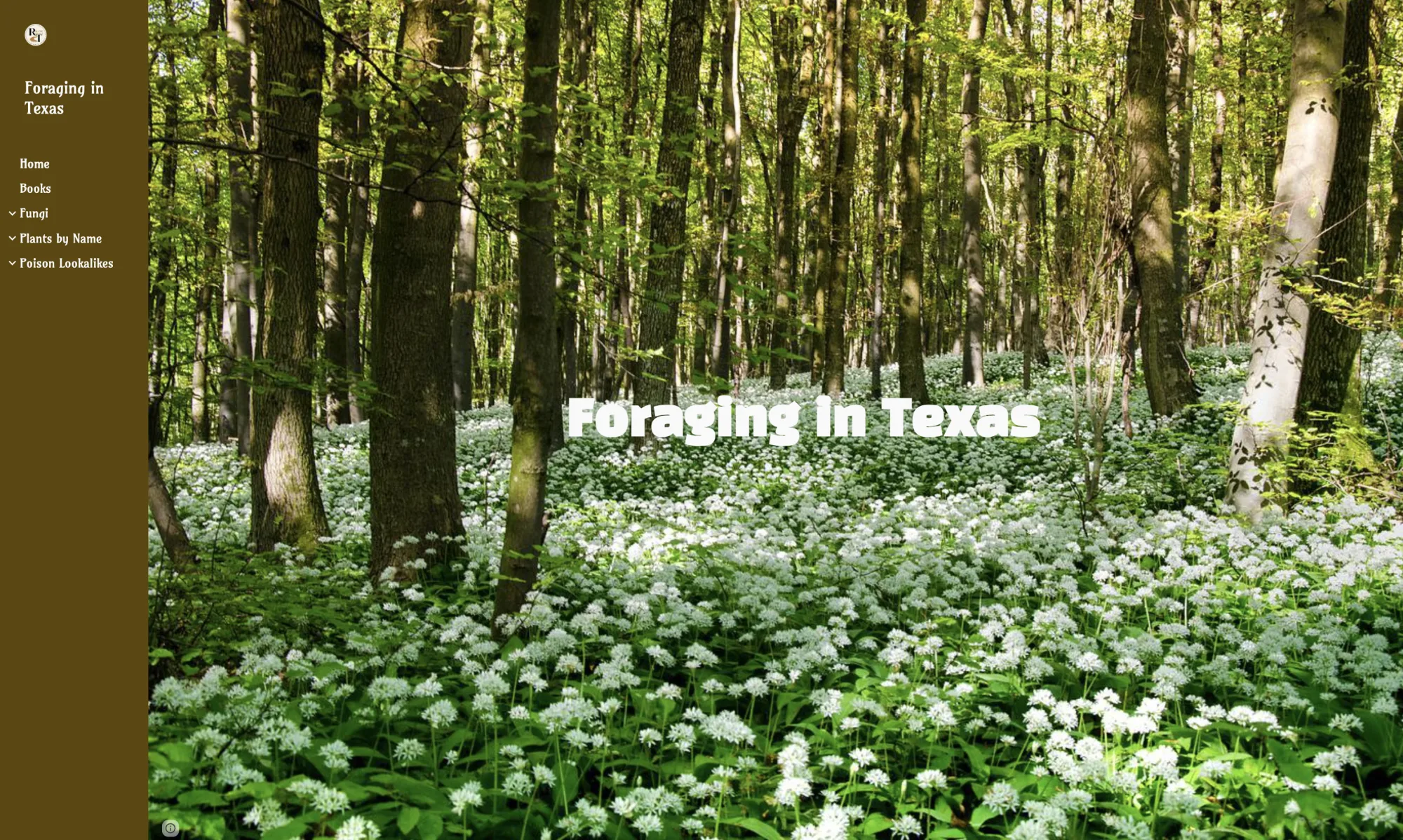 Foraging in Texas